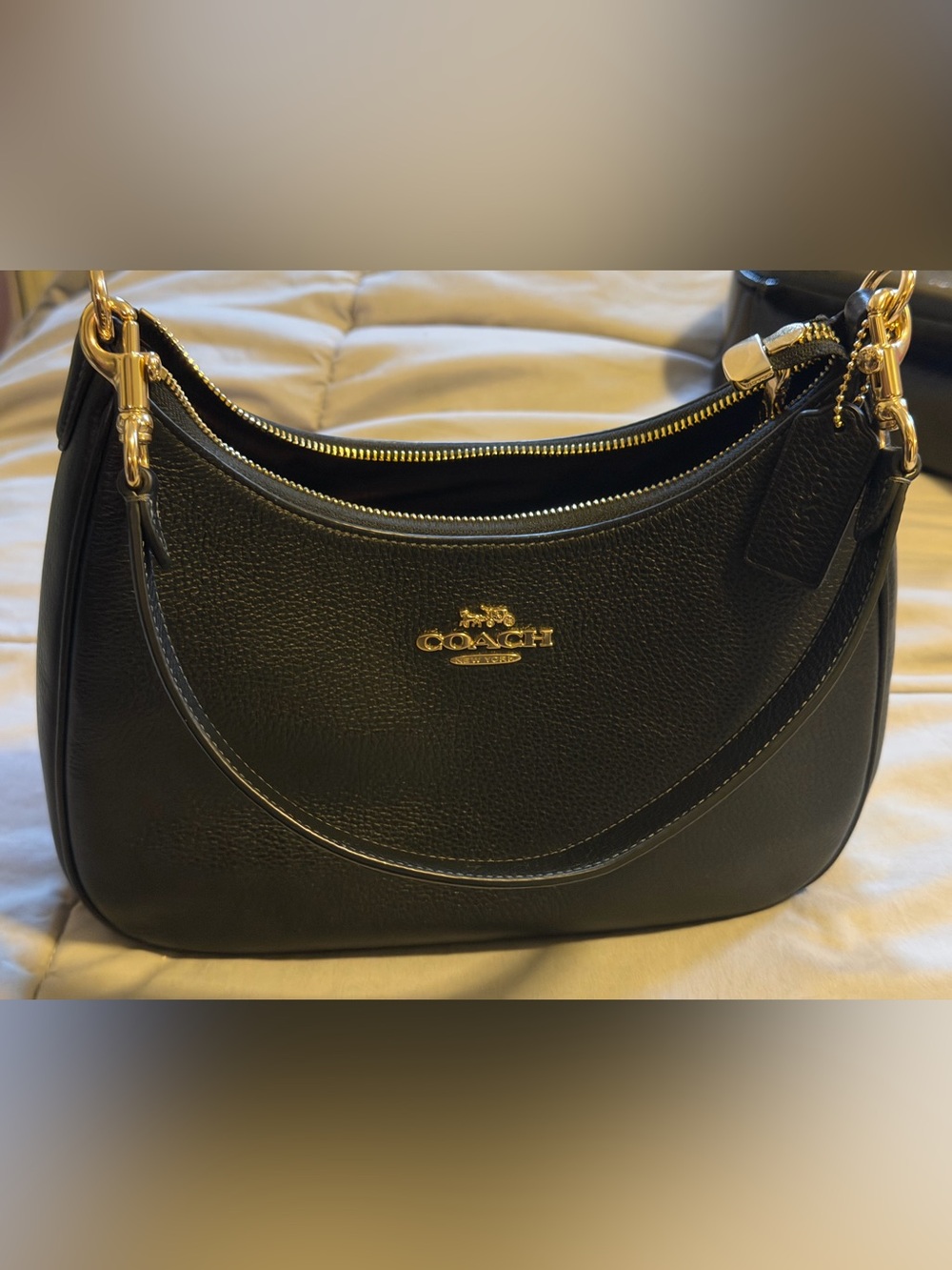 Coach Teri Hobo Shoulder Bag